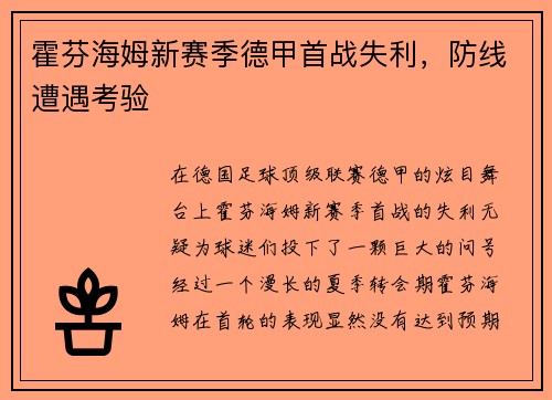 霍芬海姆新赛季德甲首战失利，防线遭遇考验